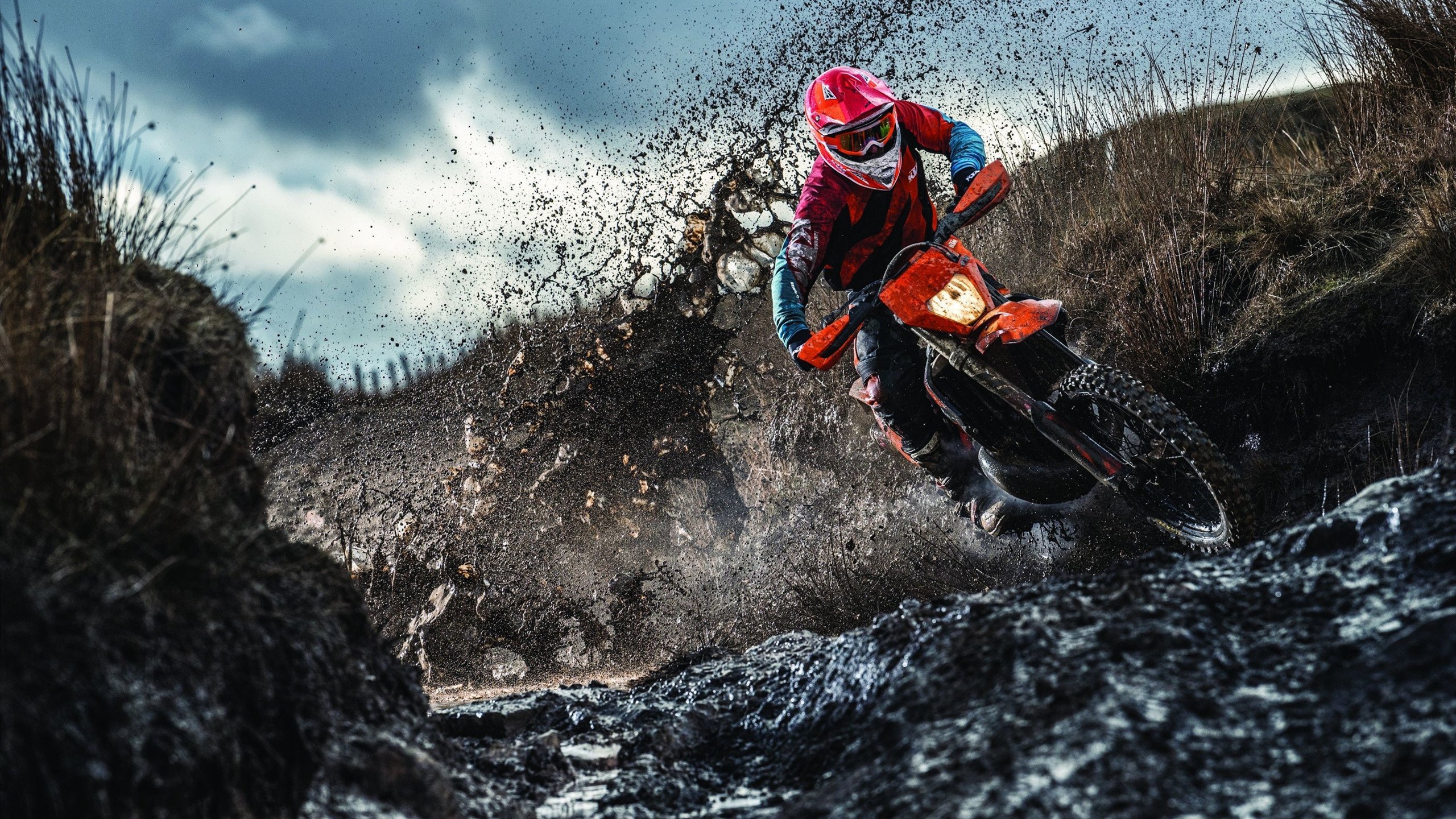 湖人强行终结深圳队，锡安硬仗之王，当天赋碾压意志的夜晚