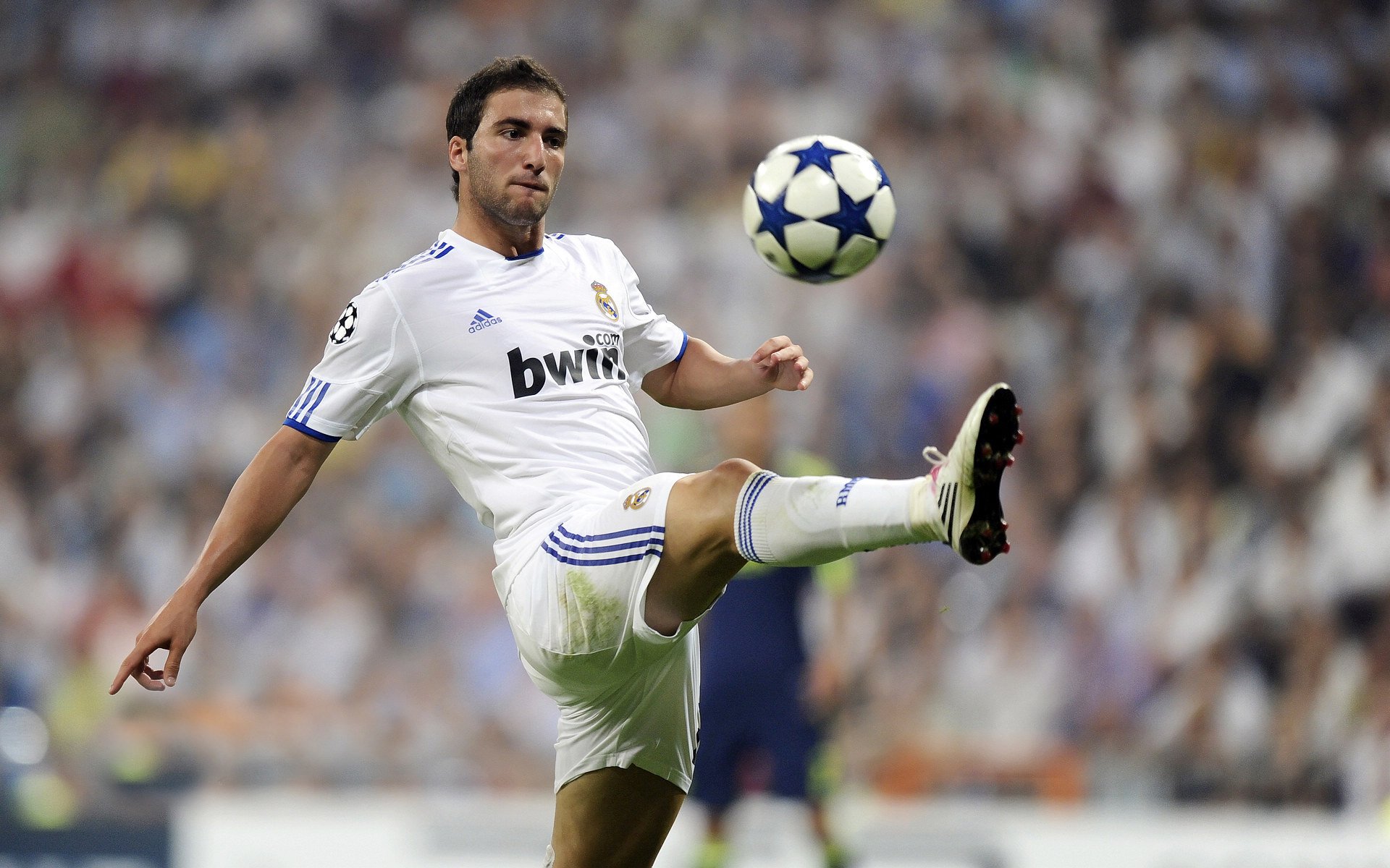 欧冠决赛焦点战，波兰完胜西班牙，一场颠覆欧洲足球认知的胜利