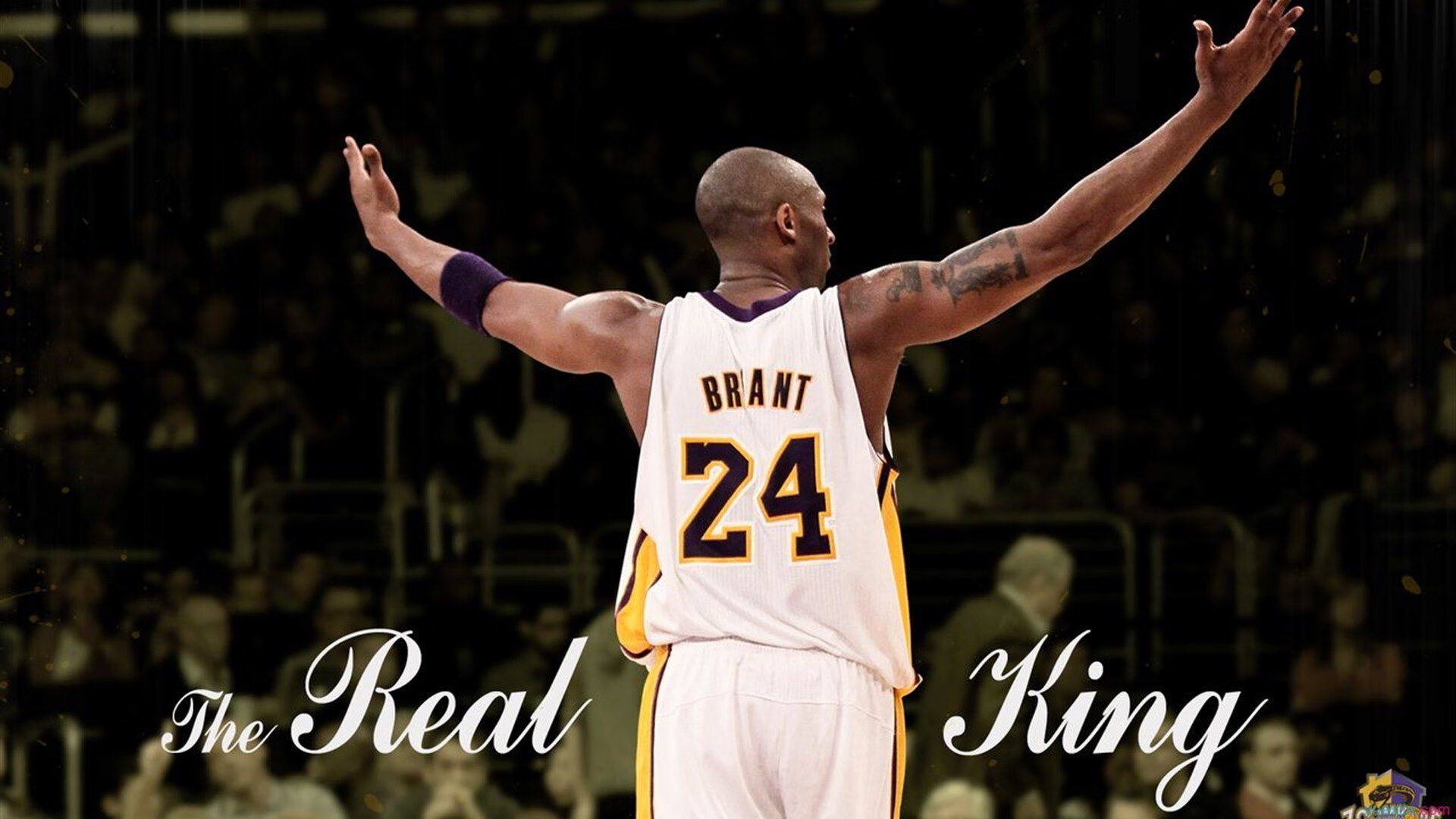 赛道与球场,伦纳德F1街道赛称王,湖人稳胜浙江队展现实力